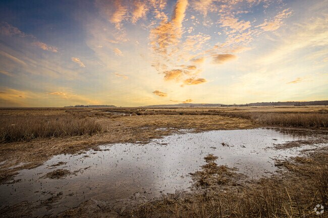 Stop by the Parker River National Wildlife Refuge for some bird-watching in Newburyport.