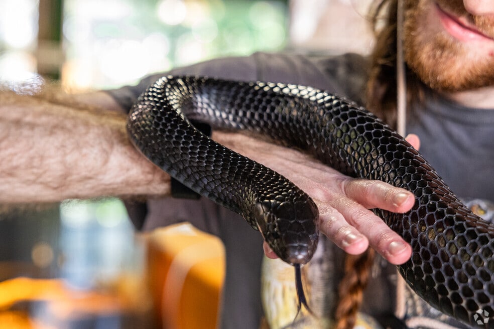 NH_Laredo and Country Lakes_535768_P2_111824
