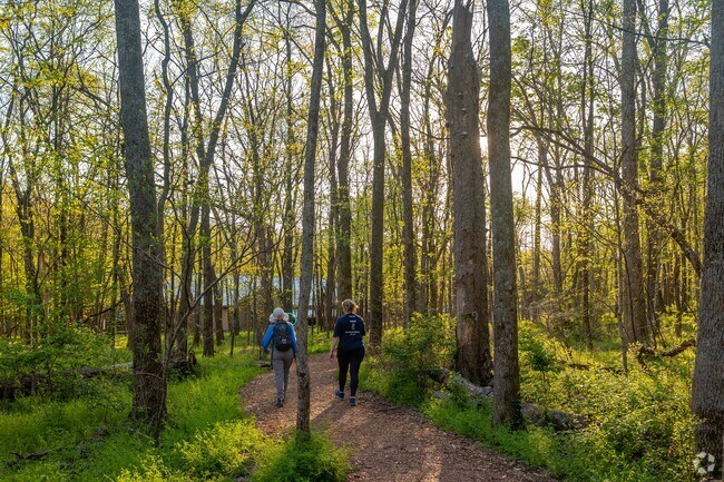 Locals around the area love to explore the Radnor Lake trails and wild life near Otter Creek.