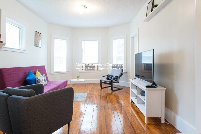 123 Brook St unit 2, Brookline, MA 02445 - photo 5