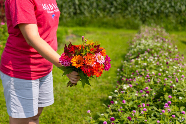 Visit Meagog Market in Salem for fresh cute flowers.