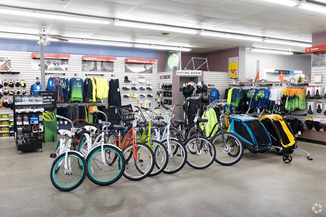 Cycle Werks in Whitehouse has several styles of bicycles in West Lucas County.