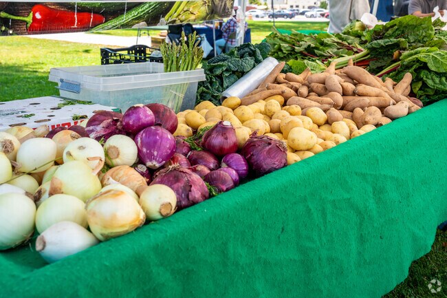 The nearby Farmer's Market is on Thursdays ad Plaza Park.