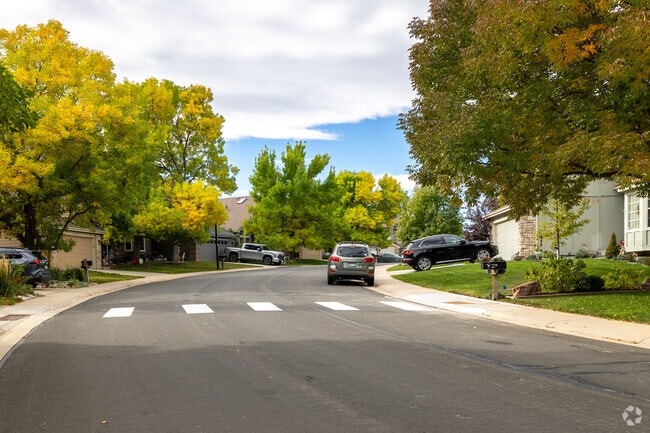 Wide neighborhood streets are common in The Meadows.