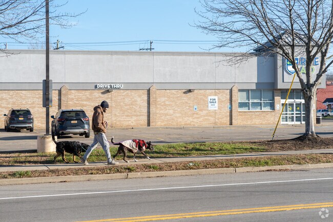 Sidewalks provide open access for dog walkers throughout the city.