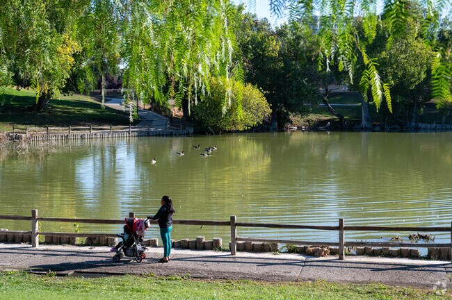 Family walking in Lake Ellis Park in South Concord.