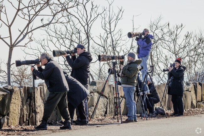 High above the Palisades, State Line Lookout in Alpine, NJ is a favorite with birders.