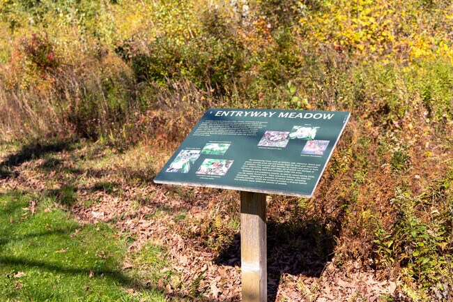 Explore all that Wales' Norcross Wildlife Sanctuary has to offer.