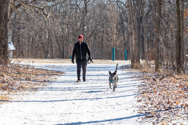 Take a walk on the scenic Des Plaines River Trail in the Potawatomi Woods Forest Preserve.