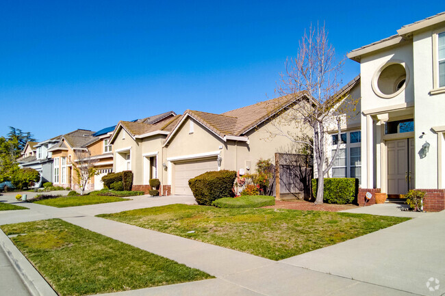 The neighborhood is rich with colors of green lawns.