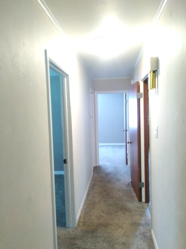 11446 Olive Rd, Lumberton, TX 77657 - photo 5