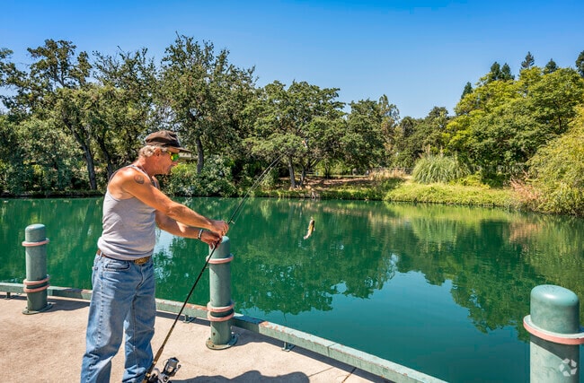 In the Ben Ali area, you can even catch some catfish at the Howe Community Park.