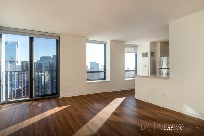 Admirals Pointe unit 4505, Chicago, IL 60654 - photo 2