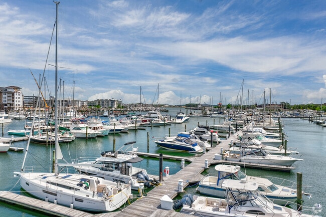 A quiet marina in North Camellia Acres showcases rows of boats nestled along the Lafayette River.
