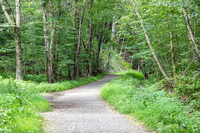 The 20-mile Hop River State Park Trail winds through Bolton, Connecticut.