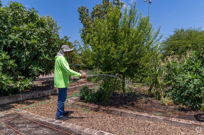 The community garden at Quincie Douglas Center allows residents to grow their own food.