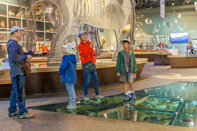 Terra Linda residents can visit the Valley of the Mastodons, a local archaeological site.