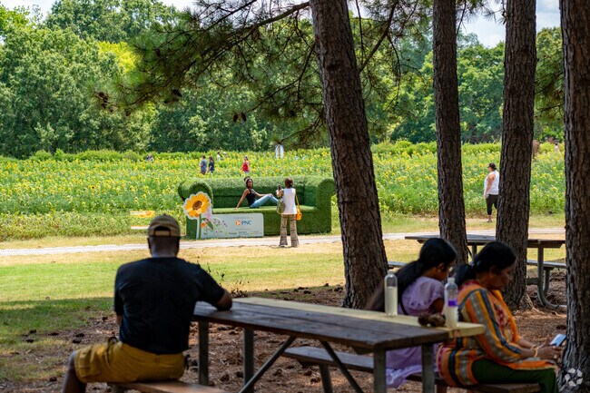 Caraleigh residents enjoy 'Kodak Moments' at Dix Park's Sunflower Field.