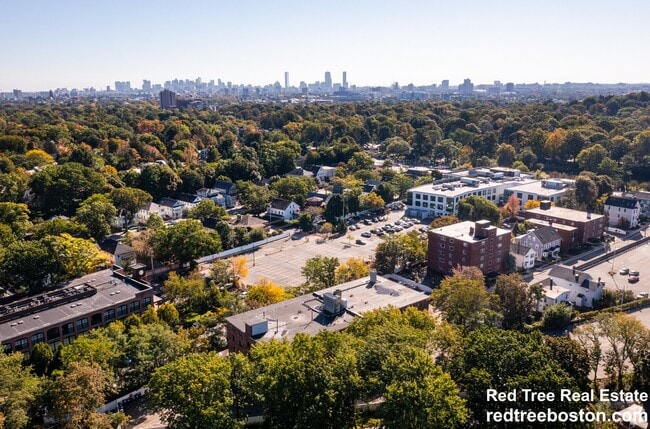 66 Homer Ave unit 103, Cambridge, MA 02138 - photo 4