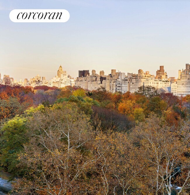 110 Central Park S, New York, NY 10019 - photo 5