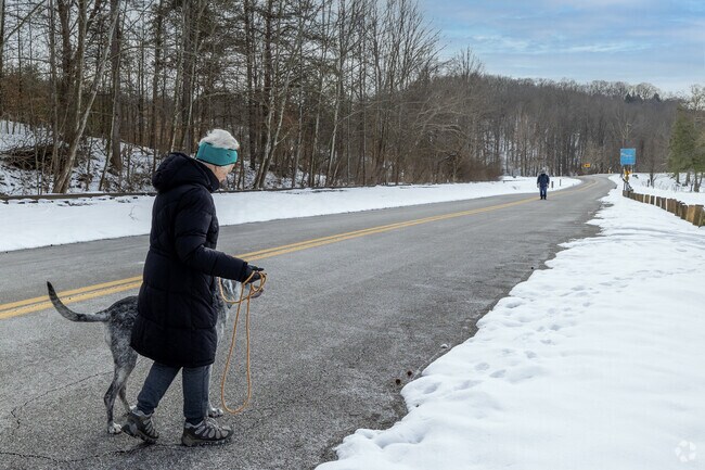 Enjoy a stroll on a winters day with your companion at Coonskin Park near Elkview neighborhood.