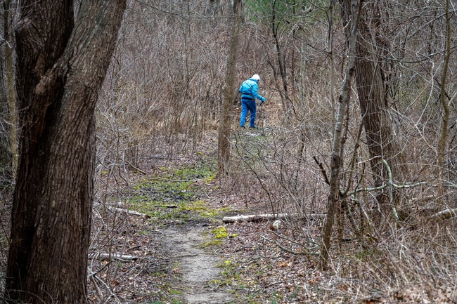 Enjoy outdoor trail walks at Anthony Lawrence Wildlife Preserve located in Attleboro.