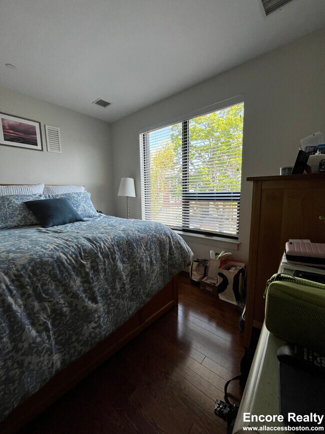 455 Harvard St unit 204, Brookline, MA 02446 - photo 4