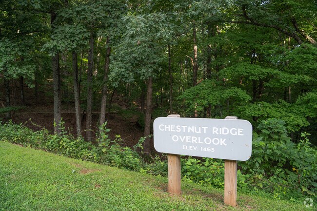 Blue ridge parkway has plenty of trails and open green spaces.