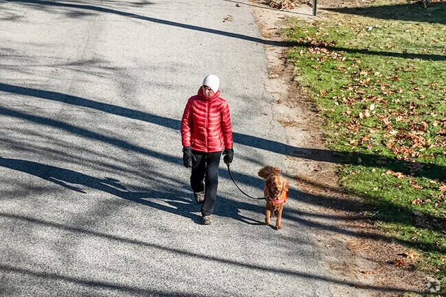 A local resident takes her dog for a walk in Kennebunk.