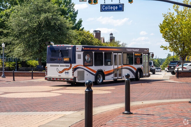 Students and staff can take the Tiger Transit throughout Downtown Auburn.