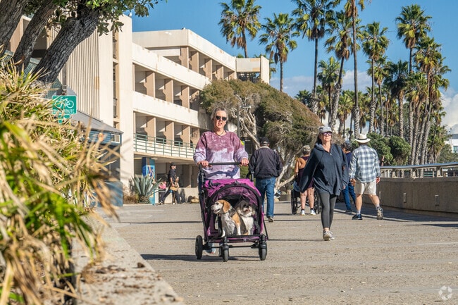 You can enjoy walks and shopping along Ventura Promenade.