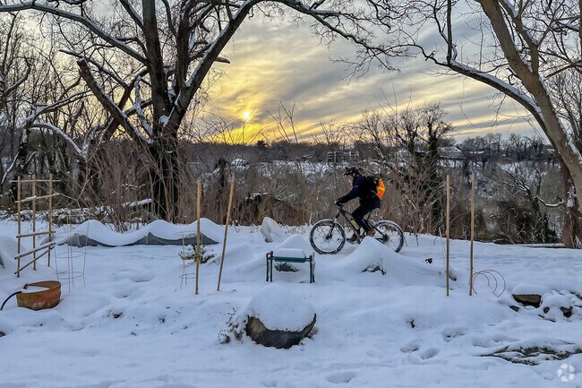 Biking through Capital Crescent Trail