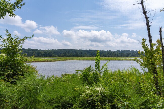 Some of the most beautiful sights in the Bermuda Hundred are located at the Dutch Gap Park.