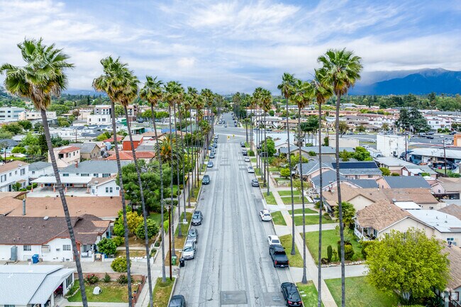 Residents enjoy a peaceful stroll along Palm Drive, where the gentle sway of palm fronds and the sound of rustling leaves provide a serene escape from city life.