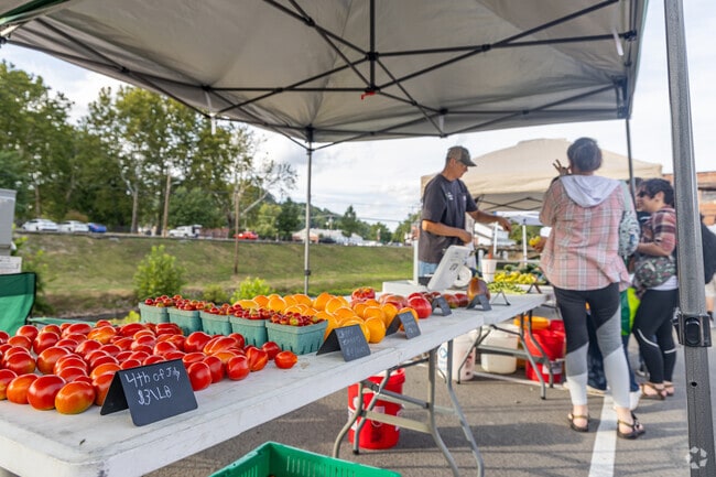 Colorful vegetables are the main attraction at the Lewis County Farmers Market in Weston.