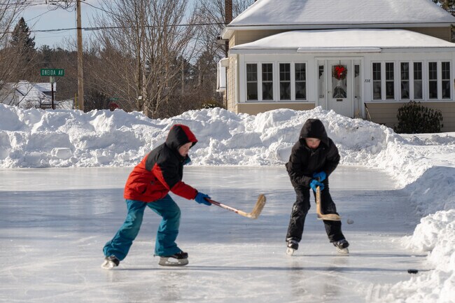 Pioneer Park in Rhinelander offers local families year-round fun such as ice hockey in Winter.
