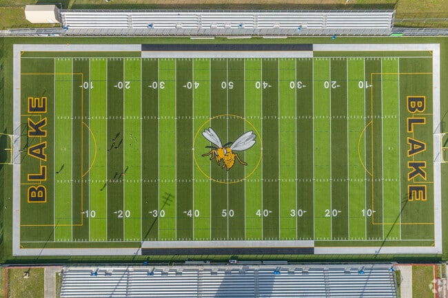 Howard Blake High School's logo is a Hornet.
