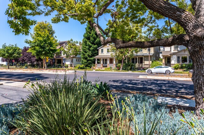 In Linfield Oaks, you'll be captivated by a row of stunning Craftsman-style homes.
