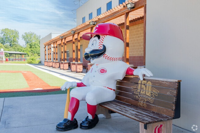 Take a picture with the Reds mascot here at the MLB Cincinnati Reds Youth Academy.