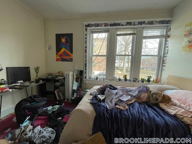 62 Egmont St unit 1, Brookline, MA 02446 - photo 2