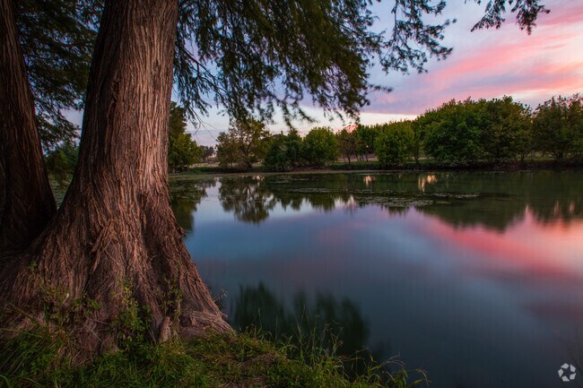 A Cypress tree and a colorful sunset of the Guadalupe River in Kerrville.