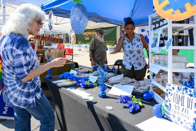 Wearing blue is encouraged at the Ellenville Blueberry Festival.