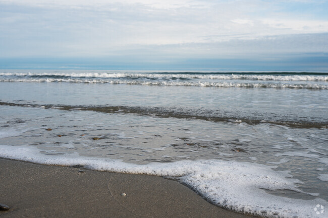 The ocean gently laps along the shores of Waveland.