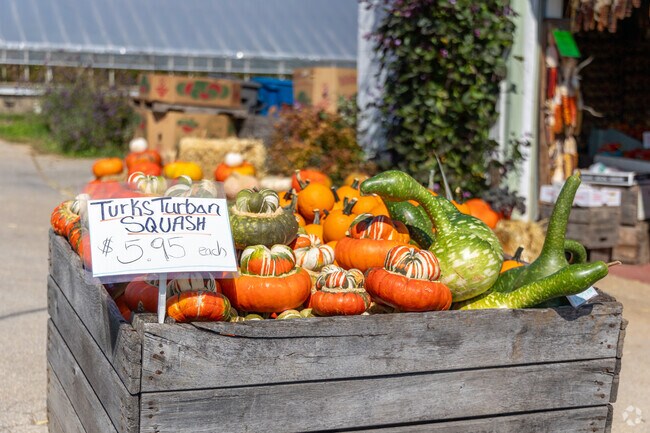 Barnard's Orchard in Bradford has everything you need to get in the autumn spirit.
