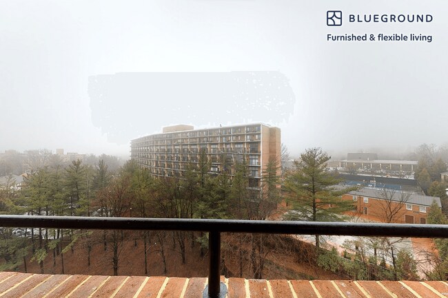 4100 Massachusetts Ave NW unit FL2-ID4936A, Washington, DC 20016 - photo 3