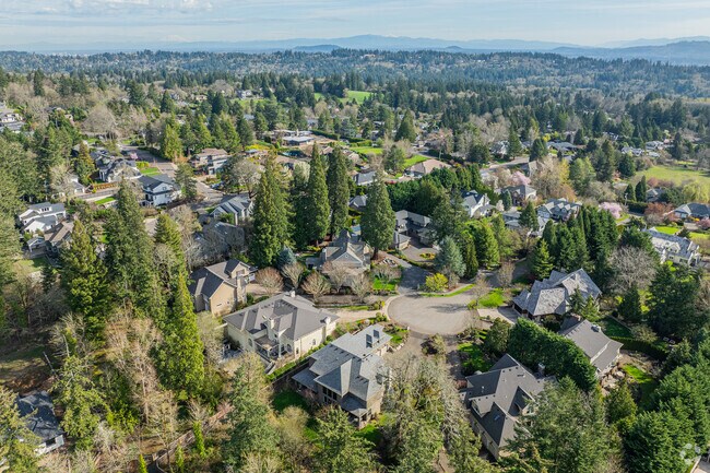 Towering evergreen trees and intentionally placed foliage obscure views of homes in Forest Highlands.