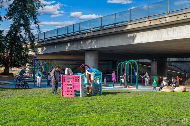 Families love to come to Frog Park.