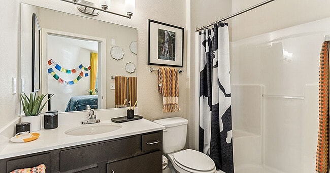 Stadium Apartments:  Off-Campus Student Housing, Fort Collins, CO 80521 - photo 7