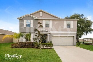 10501 Fairy Moss Ln, Riverview, FL 33578