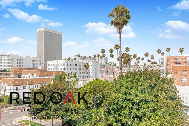 454 S Catalina St unit 210, Los Angeles, CA 90020 - photo 5